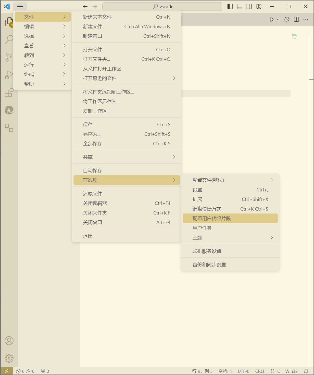 配置用户代码片段